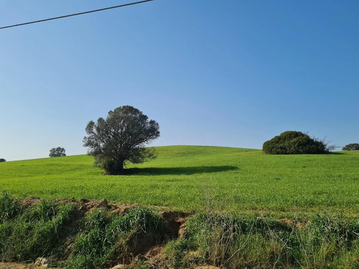 Agriturismo Buonavista - Parco Della Maremma 알베레세 0*,
