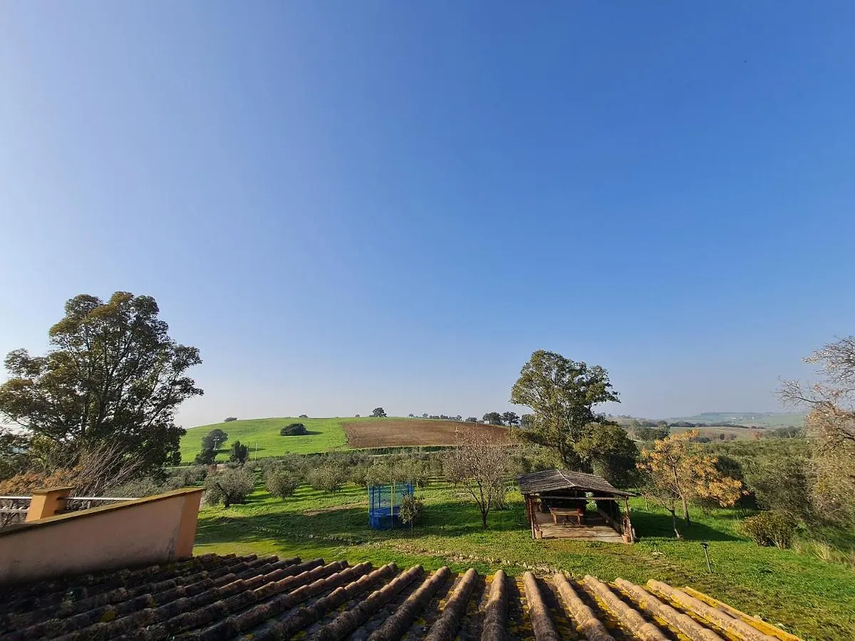 Agriturismo Buonavista - Parco Della Maremma 알베레세 팜스테이